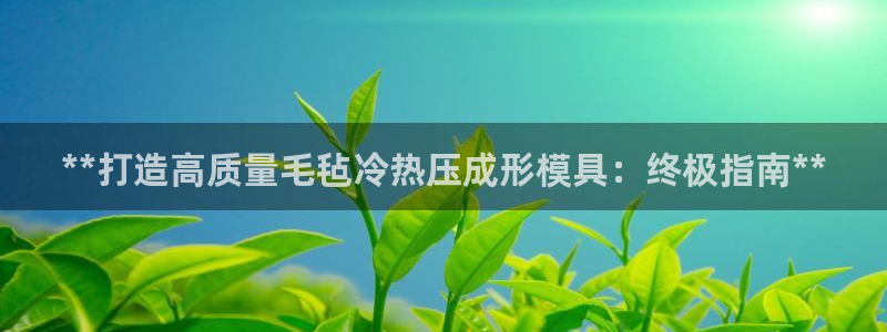 易倍单词app官网：**打造高质量毛毡冷热压成形模具：终